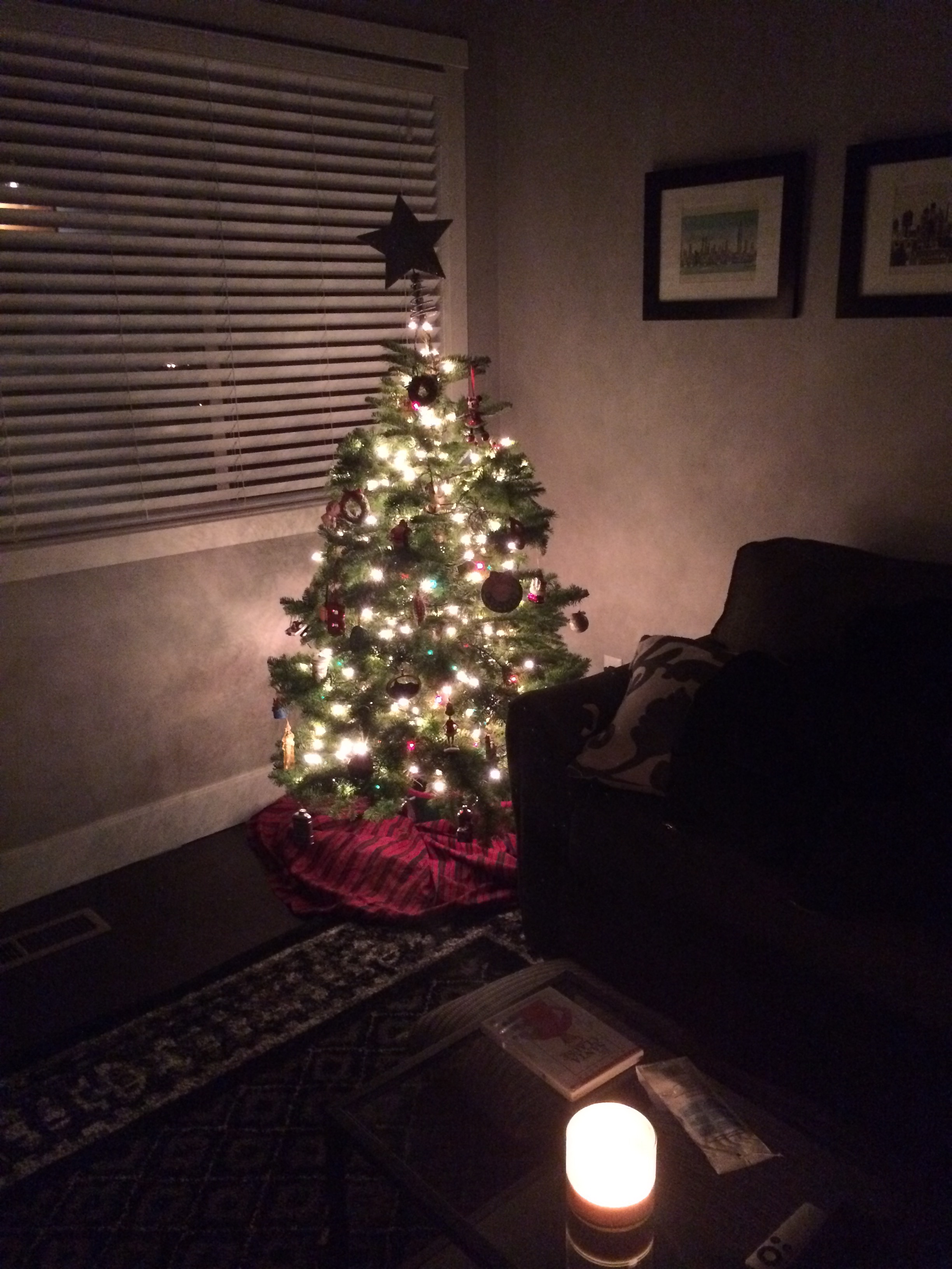 Oh Christmas Tree, Oh Christmas Tree Dec. 6, 2015 925