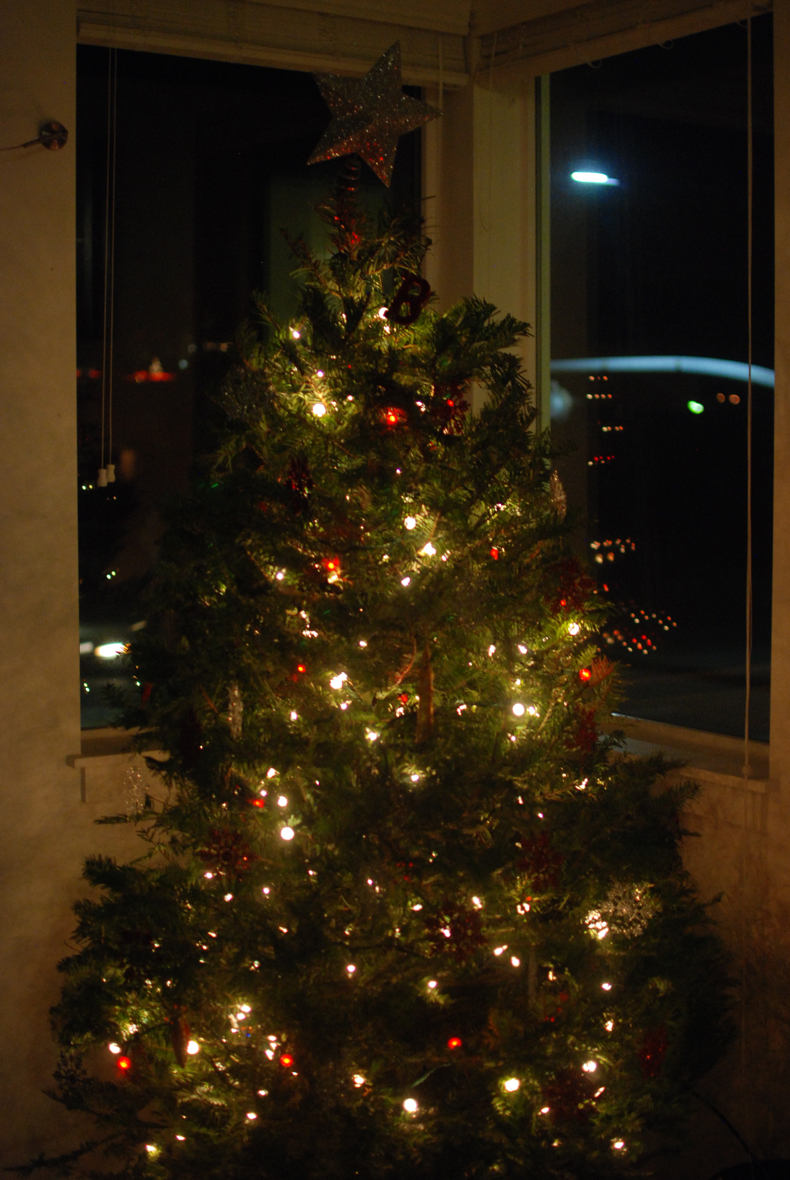 Oh Christmas Tree, Oh Christmas Tree - from the past. 0047